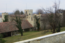 Burgruine Turmhof 